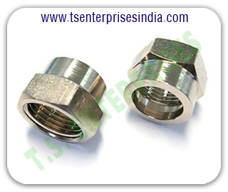 Hydraulic Nuts Hydraulic hose pipe Hex Nuts Hydraulic Hose Pipe Fitting Nuts manufacturers suppliers in india punjab ludhiana